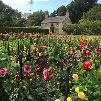 爱游戏ayx最新版