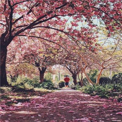 欧宝娱乐APP官方下载