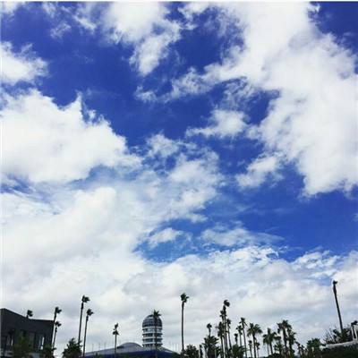 万博max手机登录版